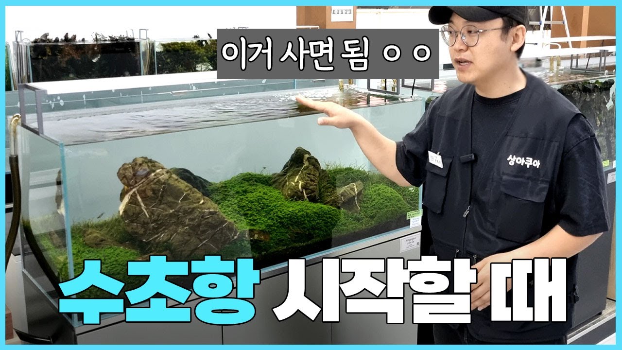 초보분들 그냥 이거 사시면 됩니다 (수초어항 세팅용품)