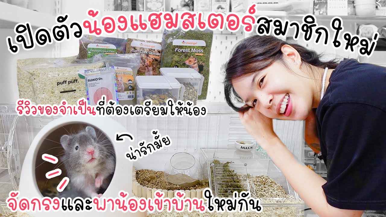 เปิดตัวน้องแฮมสเอตร์ !!! รีวิวของ จัดกรง พาน้องเข้าบ้าน !! 🐹💕