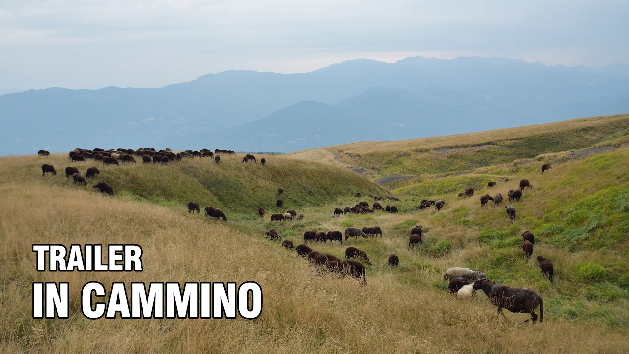In Cammino - Documentario - Trailer