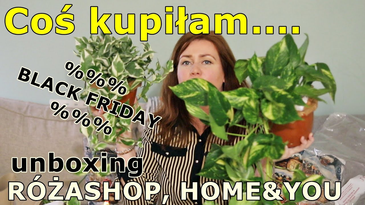 Nowe rośliny * PNĄCZA * philodendrony * hoja * fajne zasłony* black friday skromnie dotarł do mnie