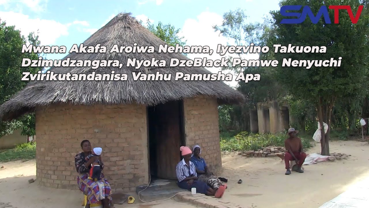 Mwana Akafira Munda, Takuona Dzimudzangara, Nyoka DzeBlack Pamwe Nenyuchi Zvirikutandanisa Vanhu