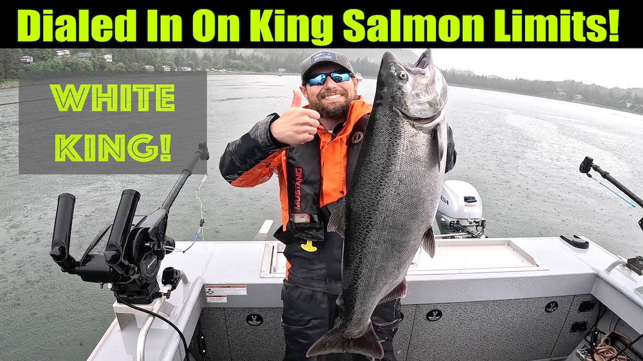 Like Clockwork! Dialed In on King Salmon Limits! Alaskan King Salmon Fishing - Juneau, Alaska!