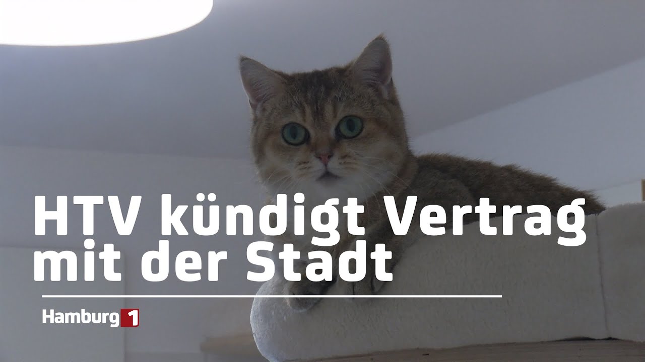 Kündigung: Tierheim Süderstraße beendet Kooperation mit der Stadt
