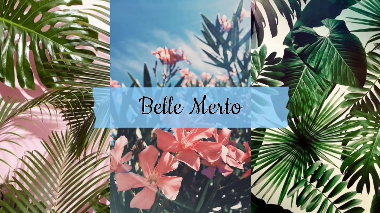 My YouTube Video Intro | Belle Merto