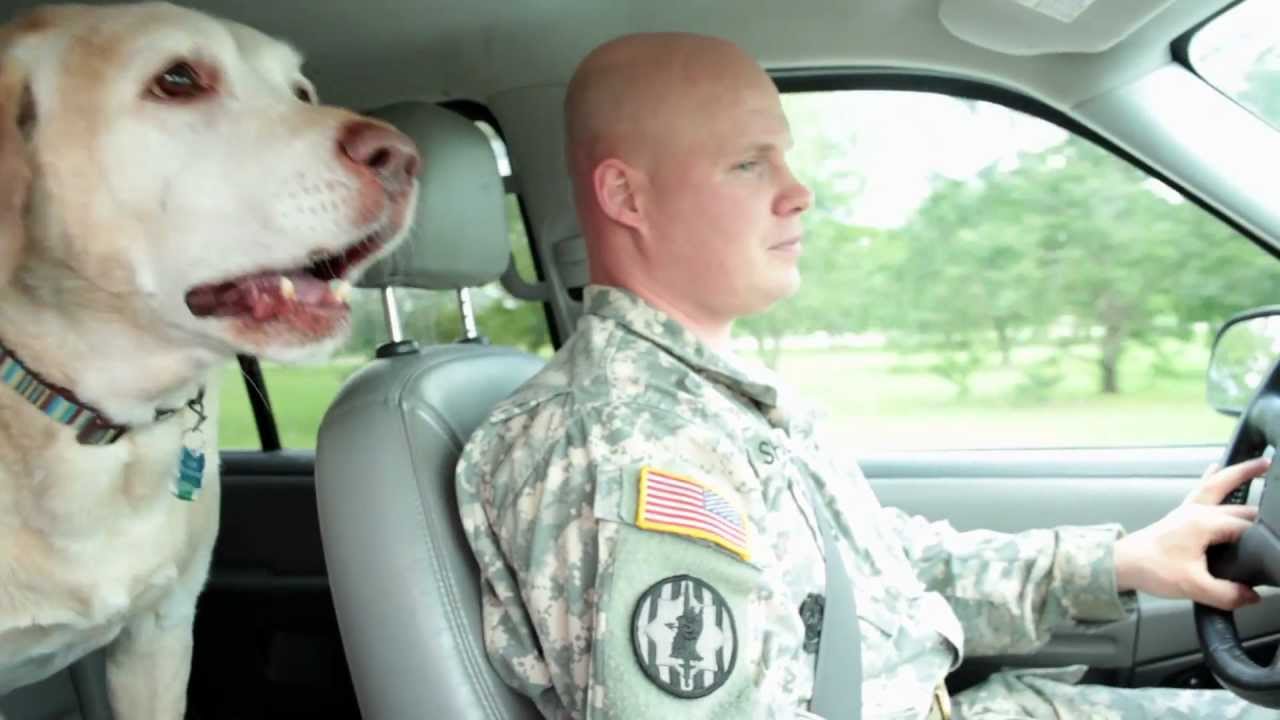 2012 Hero Dog Awards Tribute - Gabe