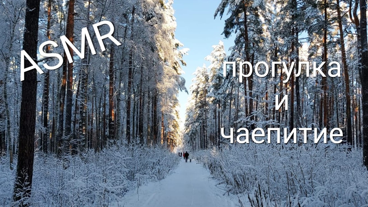 ASMR Прогулка по зимнему лесу и чаепитие