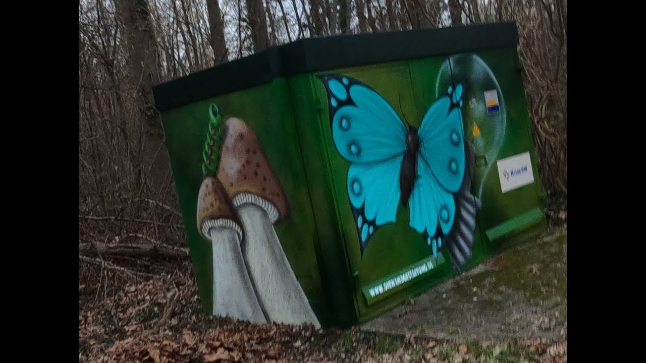 Montagsspaziergang in Durmersheim und Umgebung