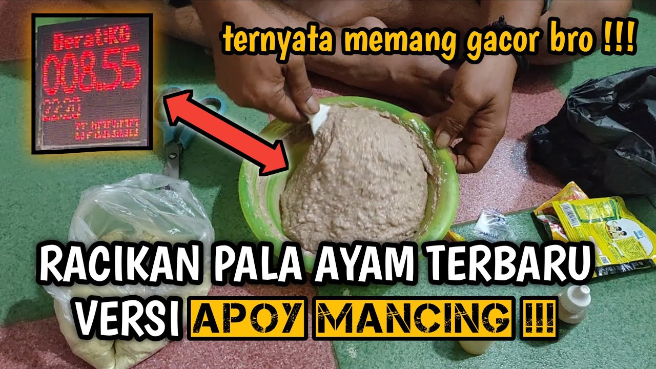 RACIKAN UMPAN PALA AYAM JITU GALATAMA LELE