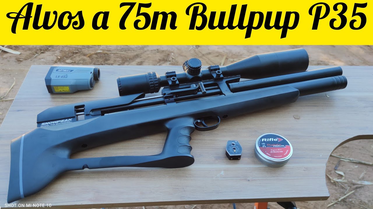 ALVOS A 75m PCP BULLPUP P35 LUNETA VECTOR OPTICS 6-24x50SFP CHUMBO RIFLE PROMAX 5.5