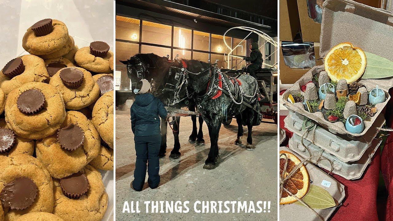 Vlogmas: craft fair, baking cookies, sleigh ride, & a Christmas concert!