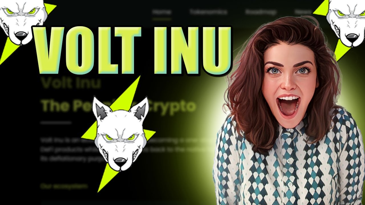 Volt Inu Review - What Makes This Asset Different?