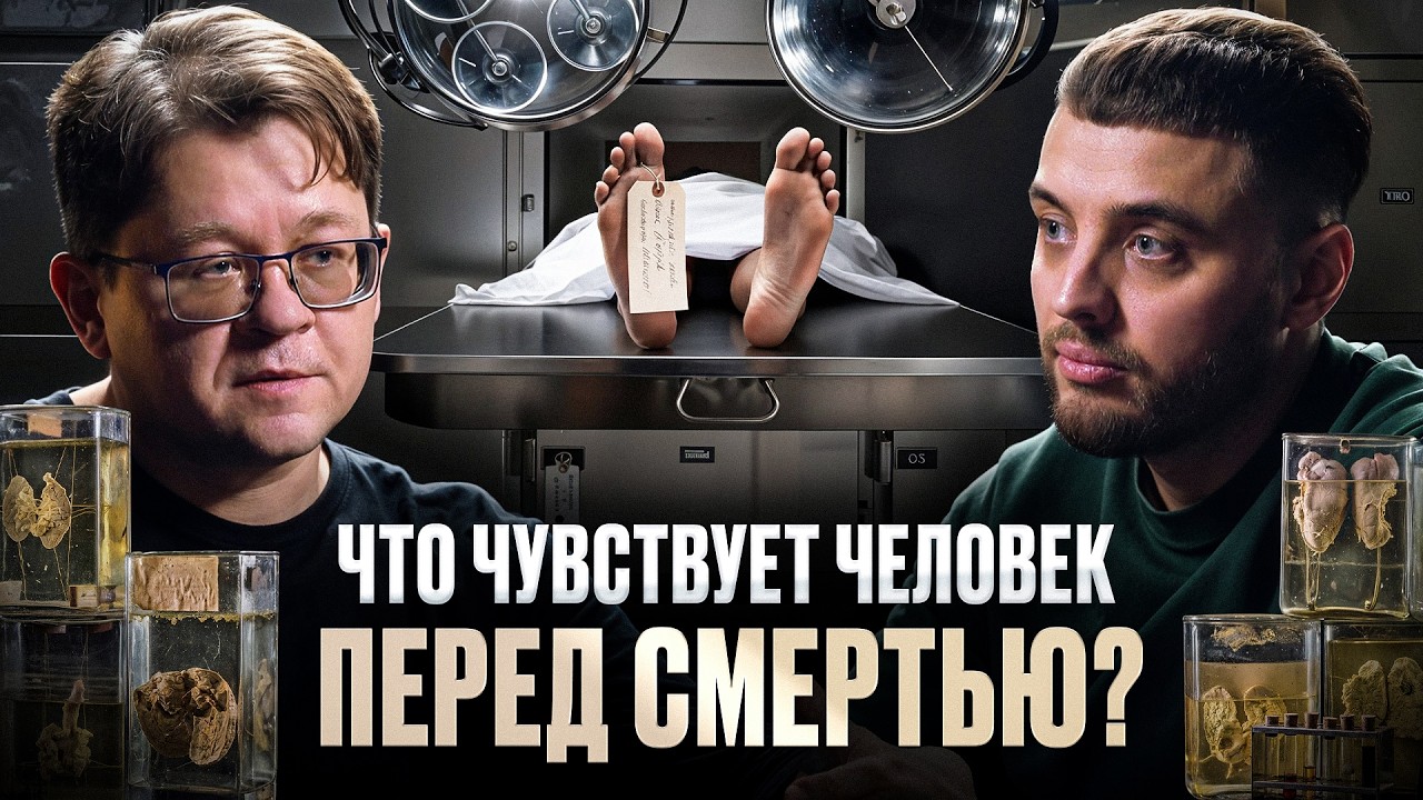 Судмедэксперт: САМЫЕ ГЛУПЫЕ СМЕРТИ это... | Алексей Решетун