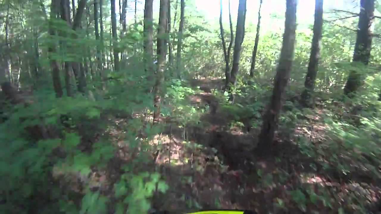 Scream'n Beaver 2011 