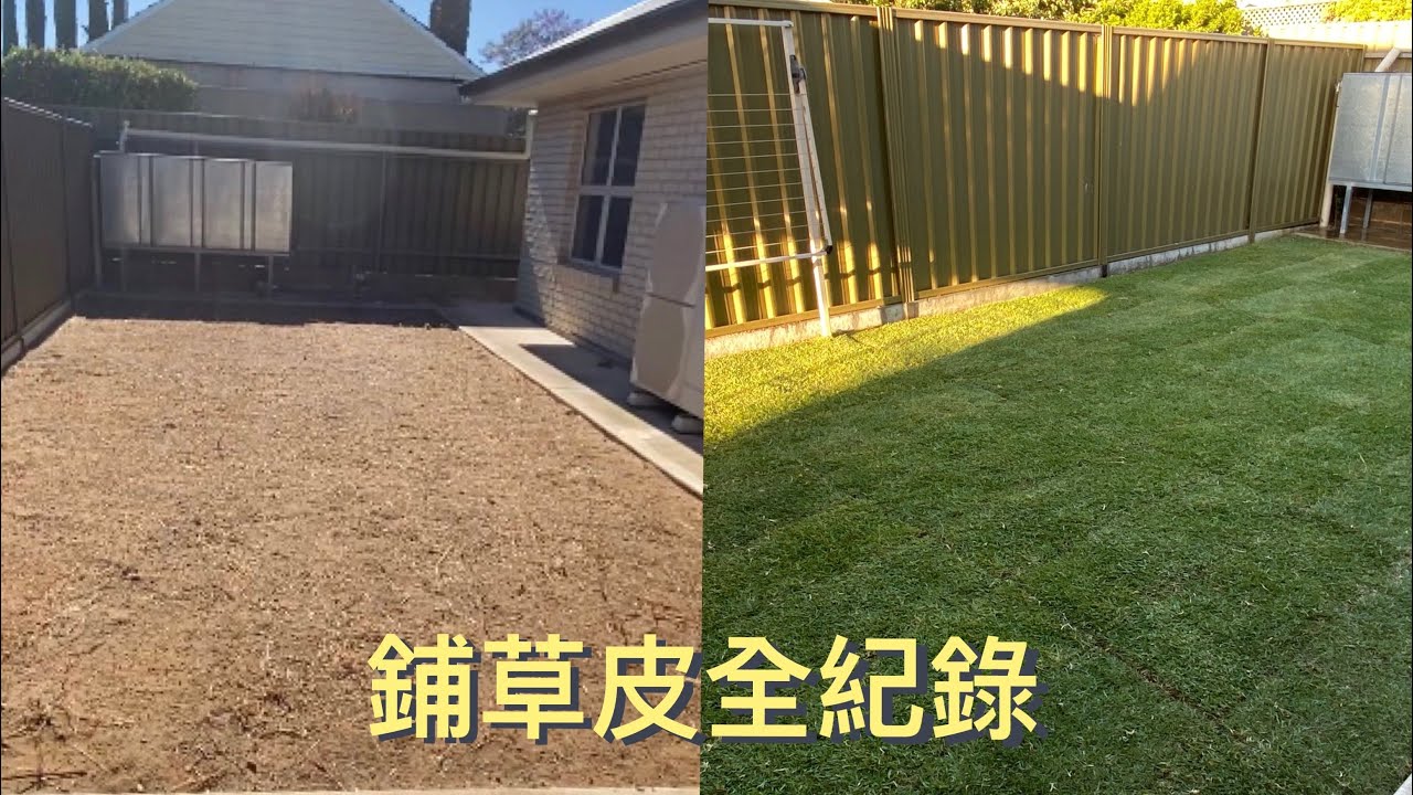 【超詳細】鋪草皮流程全紀錄
