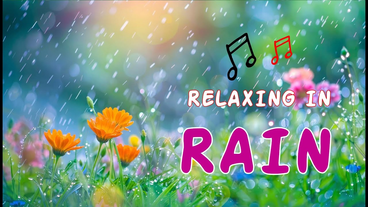 Relaxing Rain Sounds 🌧️ Calm Music for Sleep, Study & Meditation