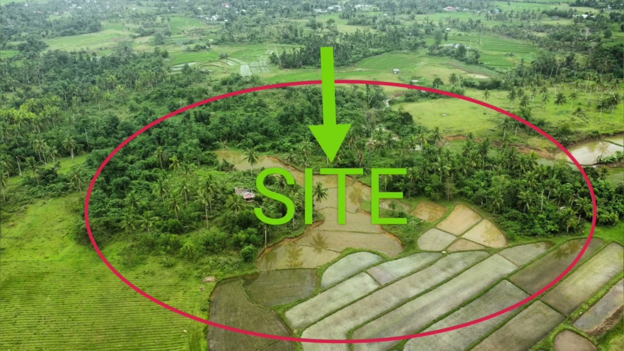 RUSH SALE FARM LAND RICH SOURCE OF WATER ALONG THE CREEK | 3.4 HEC | DAGOHOY BOHOL | PRICE 100/SQM