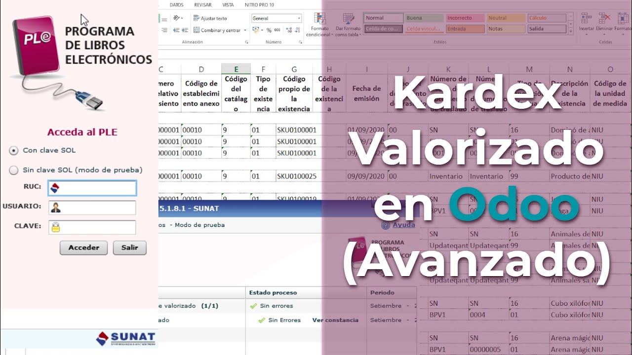 Kardex VALORIZADO - Avanzado 📕 Odoo Perú (Registro inventario permanente en unidades) #PLE Sunat