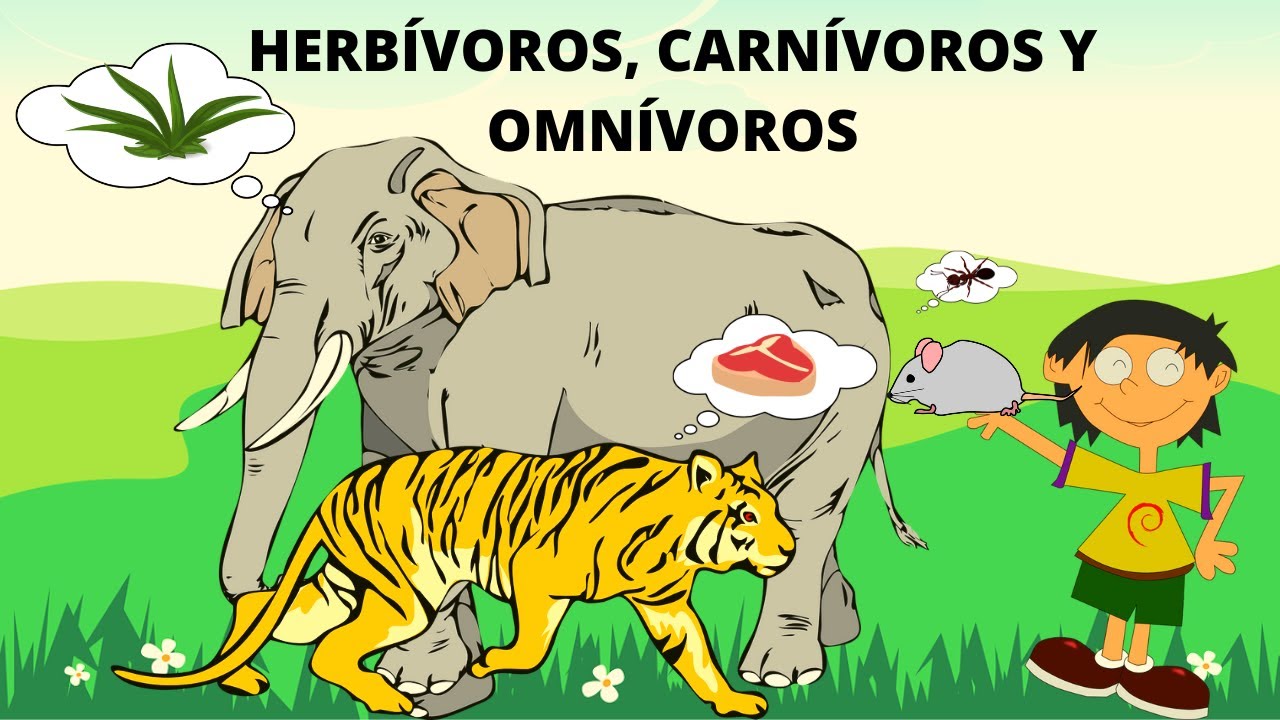 ANIMALES HERBÍVOROS, CARNÍVOROS U OMNÍVOROS. ANIMALES SEGÚN SU ALIMENTACIÓN
