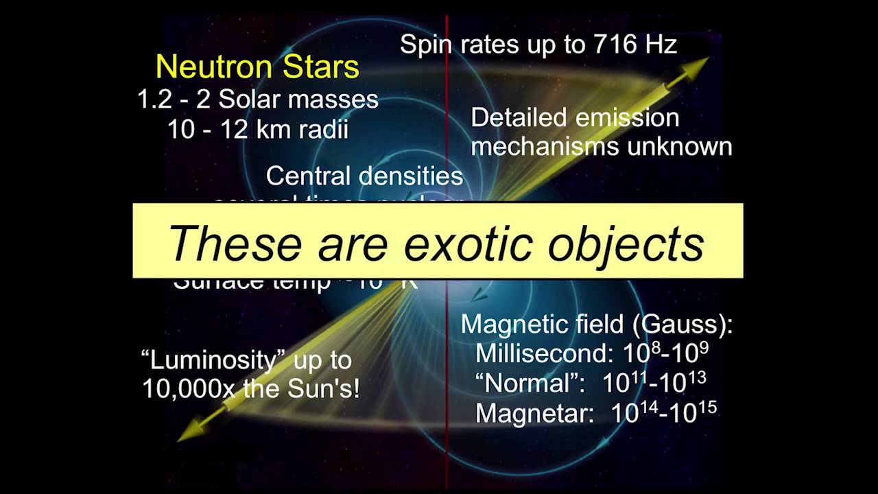 Pulsars, Magnetars, Black Holes (Oh My!): The Wickedly Cool Stellar Undead