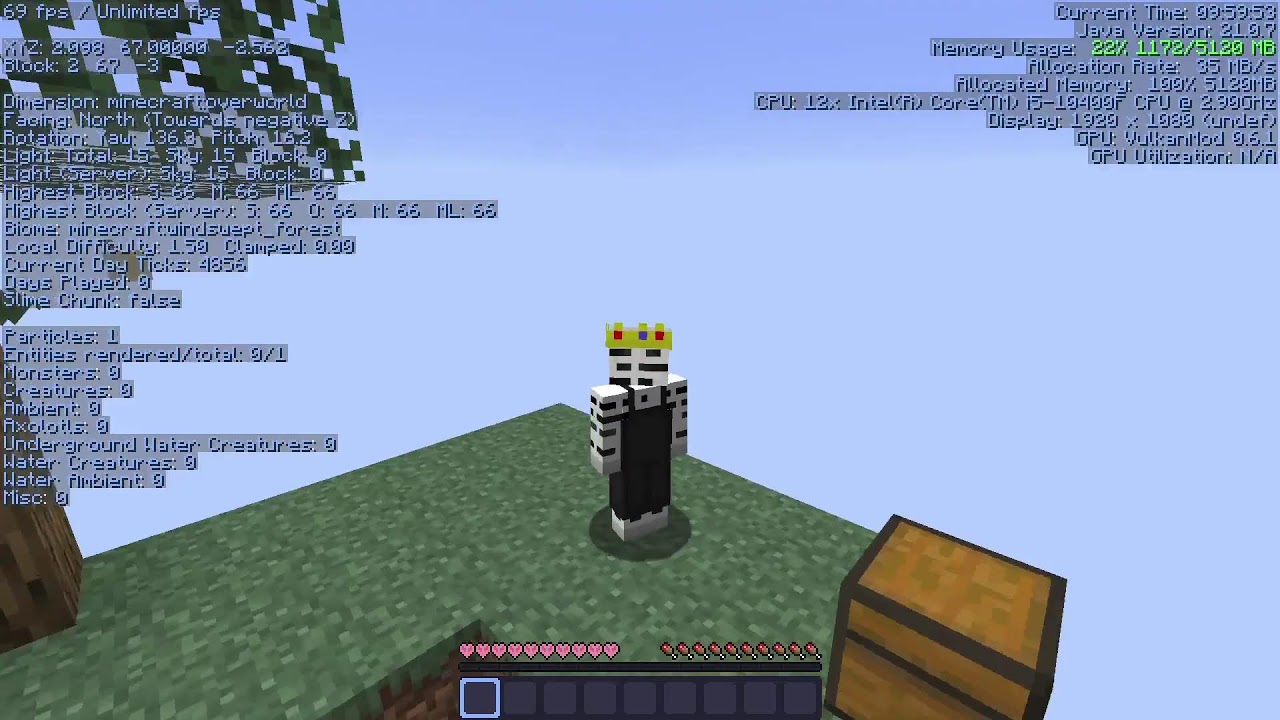 Skyblock Hardcore