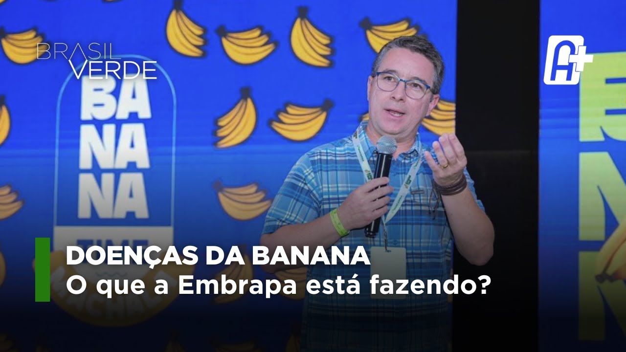 Banana: combate a doenças e melhoramento genético com Edson Perito (Embrapa) | Brasil Verde