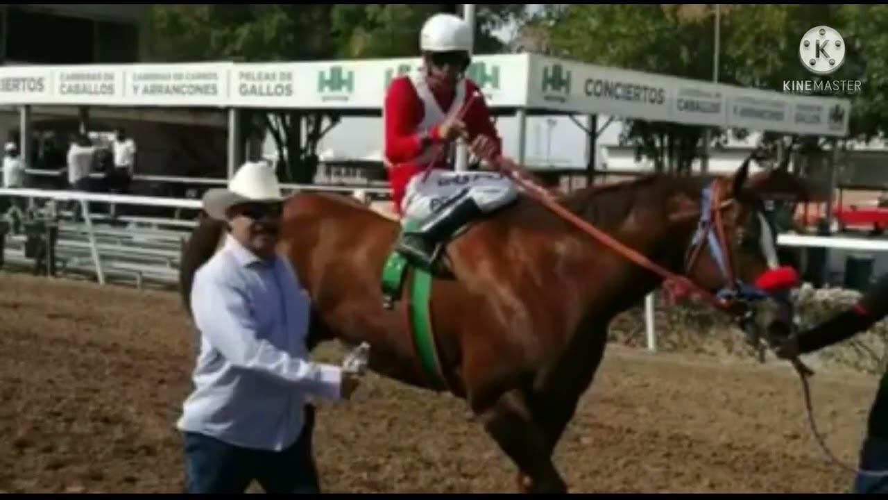 El corrido del capo