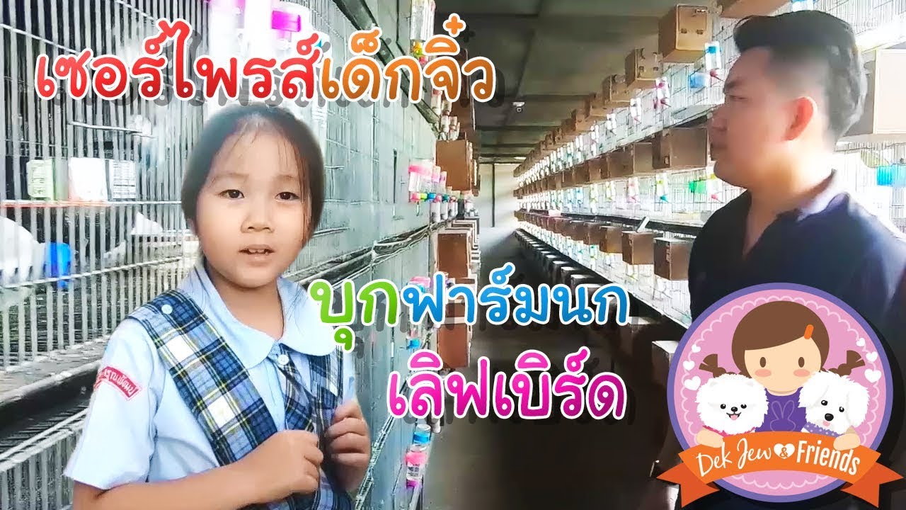 เซอร์ไพรส์เด็กจิ๋ว บุกฟาร์ม Love Bird หานกมาเพิ่มอีก 6 ตัว