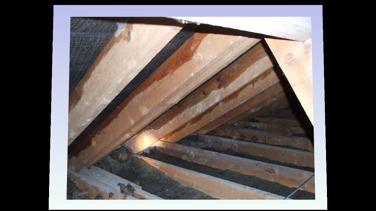 Atmospheric moisture, Condensation and Mould part 6: Internal assessment