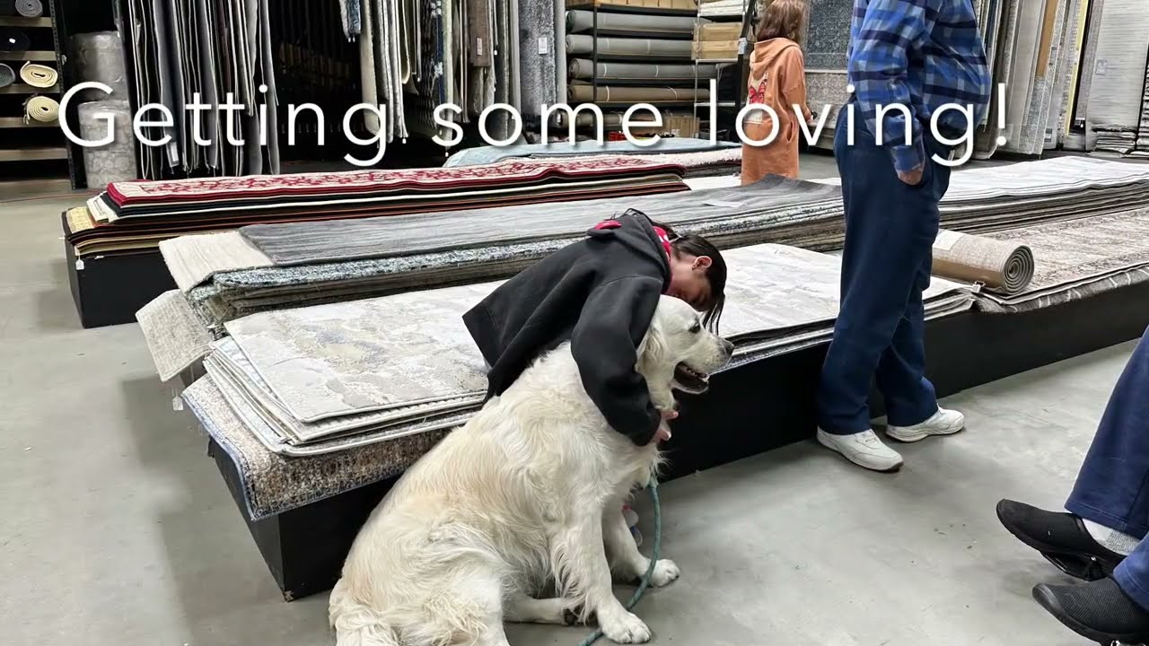 At Home in the Valley-A Warehouse Full of Rugs “Dog Days Spring 2023”