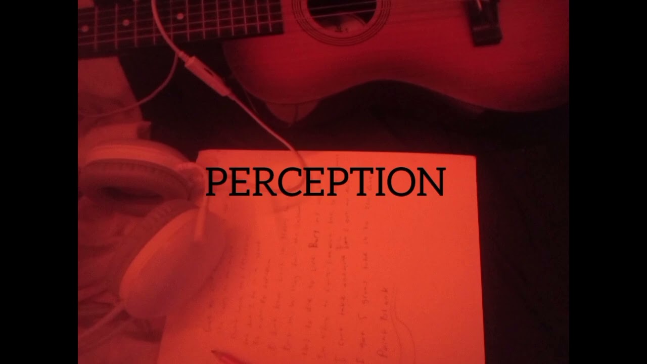Perception 