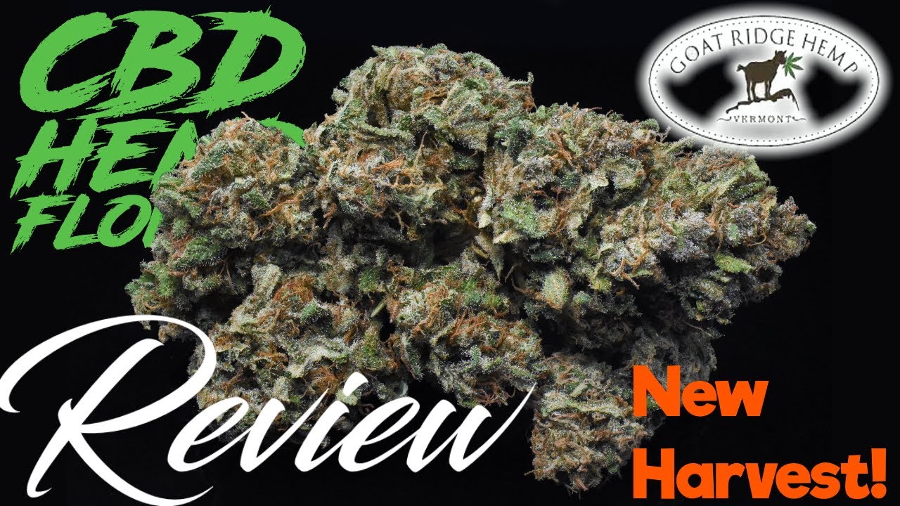 Goat Ridge Hemp 2021 Harvest Review - Small Batch Outdoor Flower | CBD Hemp Flower Review