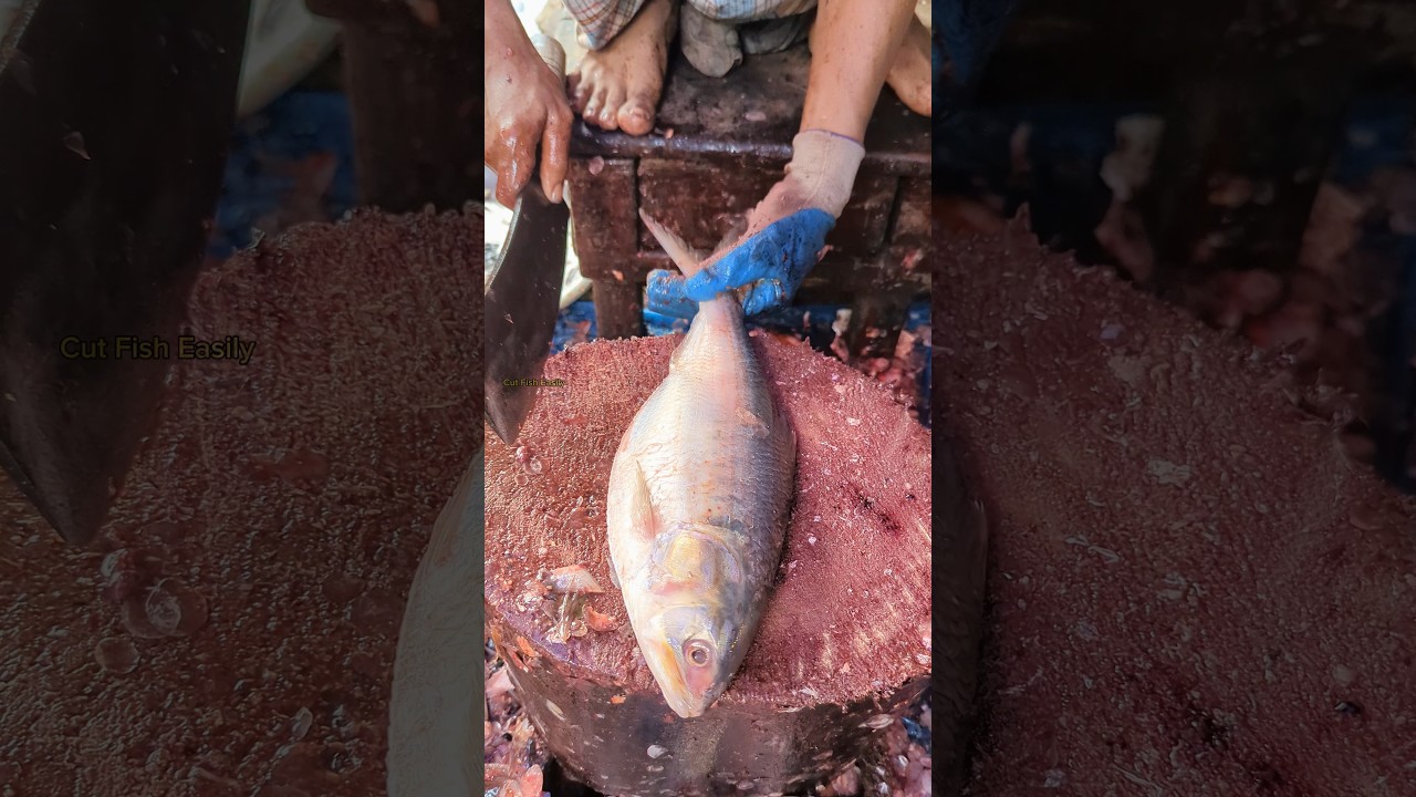 Delicious!! Hilsa (ilish) Fish Cutting Skills by Expert Fish Cutter 🫢😱 || #shorts #hilsa #ilish