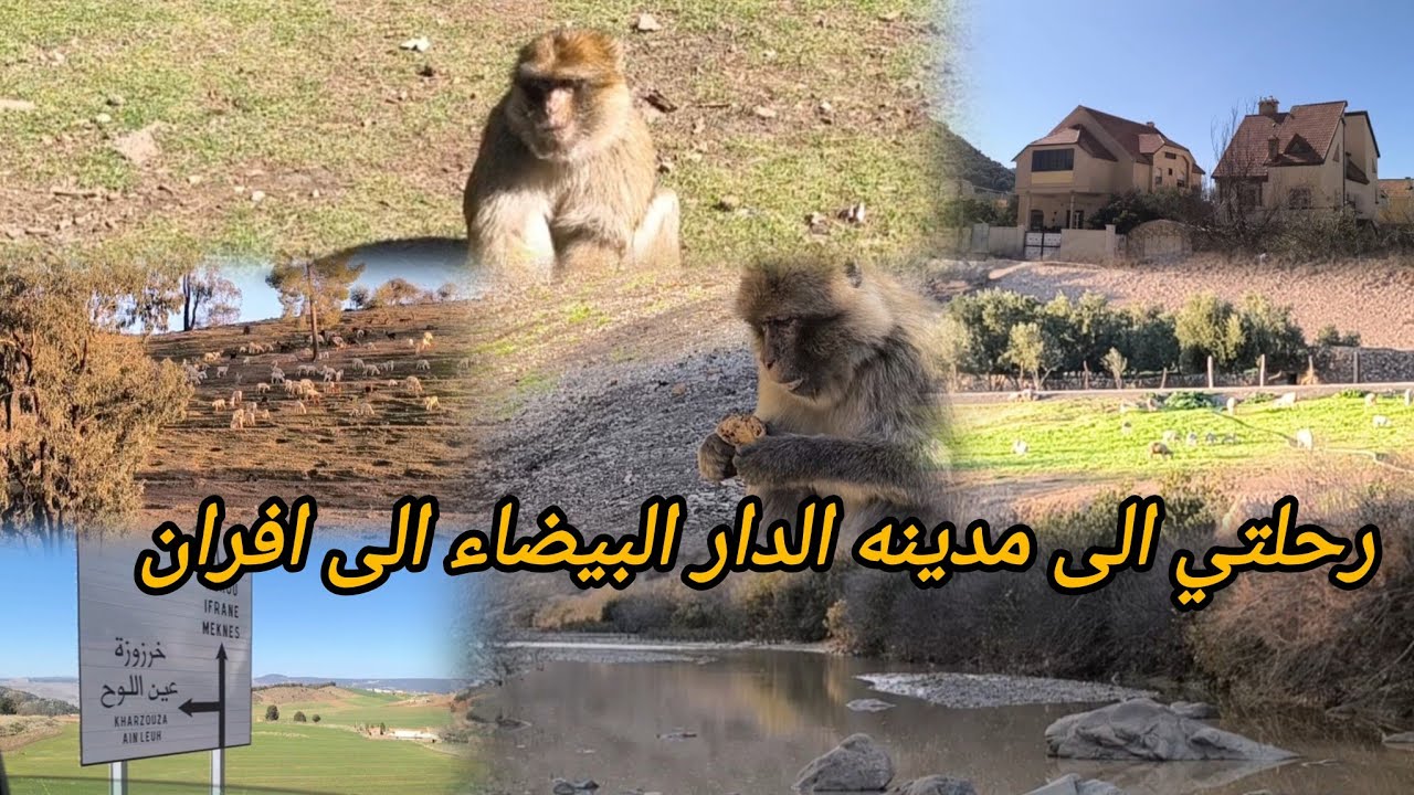 ..في هذا الفيديو نأخذكم في رحلة تأملية على الطريق بين الدار