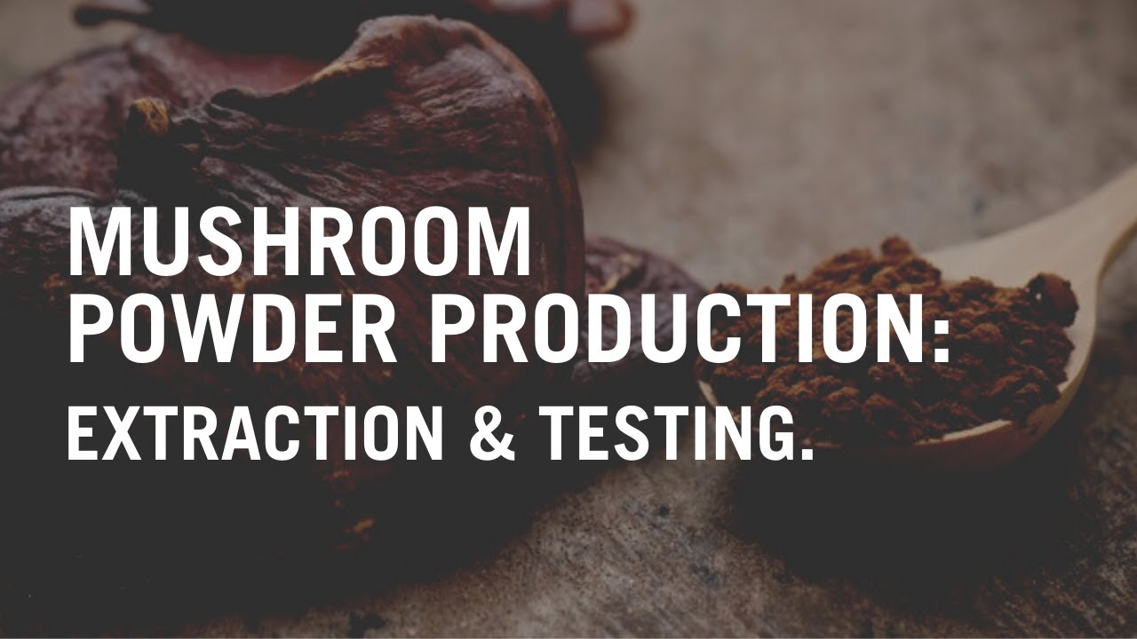 Mushroom Powder Production Tour - Extraction & Testing