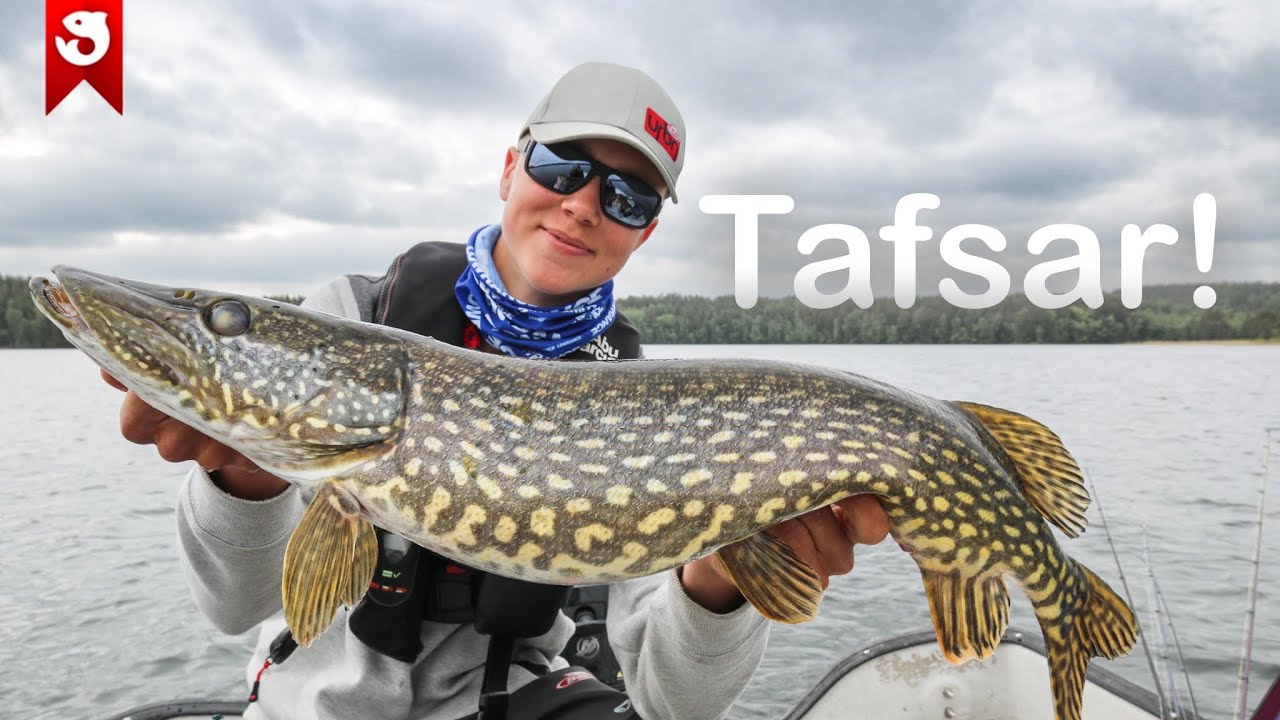 Fånga MER FISK med RÄTT TAFS!