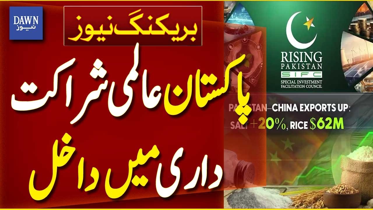 SIFC Enables Pakistan to Enter Global Partnership | Breaking News | Dawn News