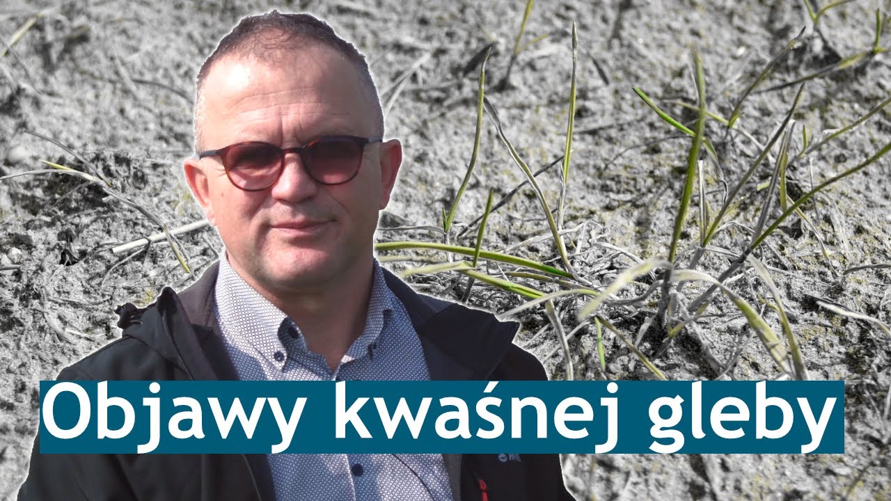 Objawy kwaśnej gleby. Jak sprawdzić pH? || Wszystko o odczynie gleby odc. 3