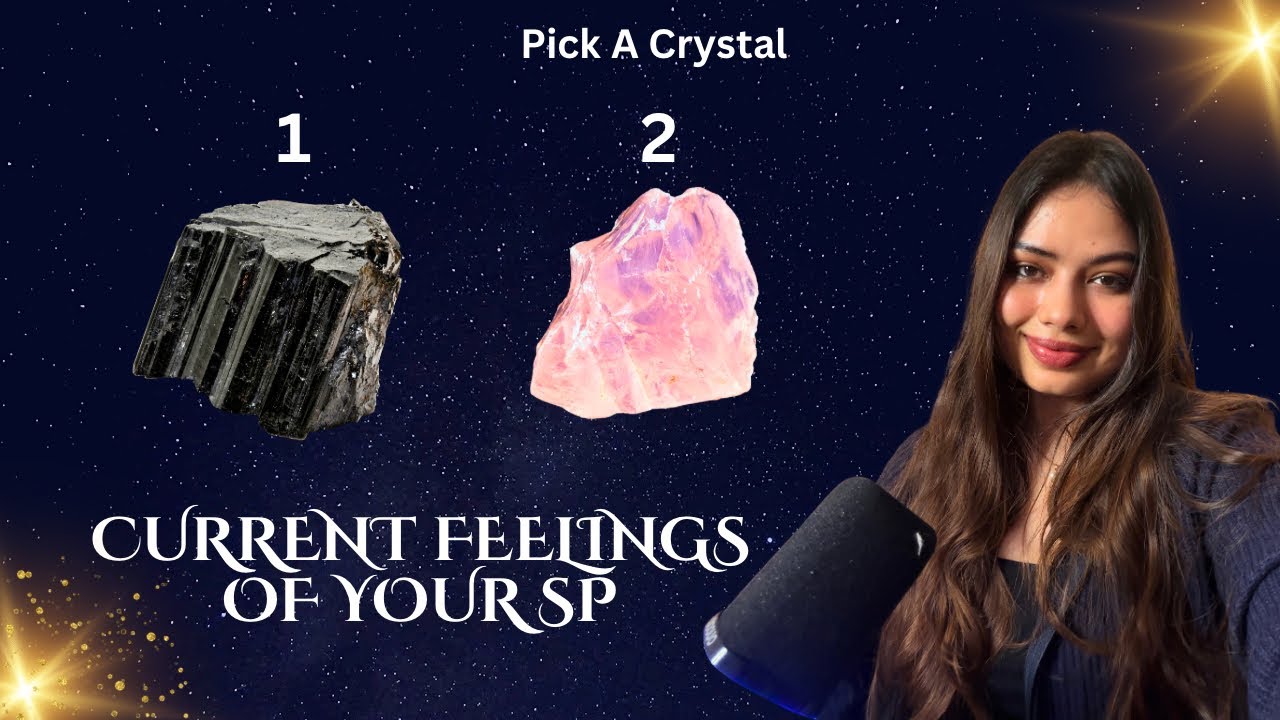 Pick A Card🔮: YOUR PERSON&rsquo;S CURRENT FEELINGS AND THOUGHTS🪷NO CONTACT