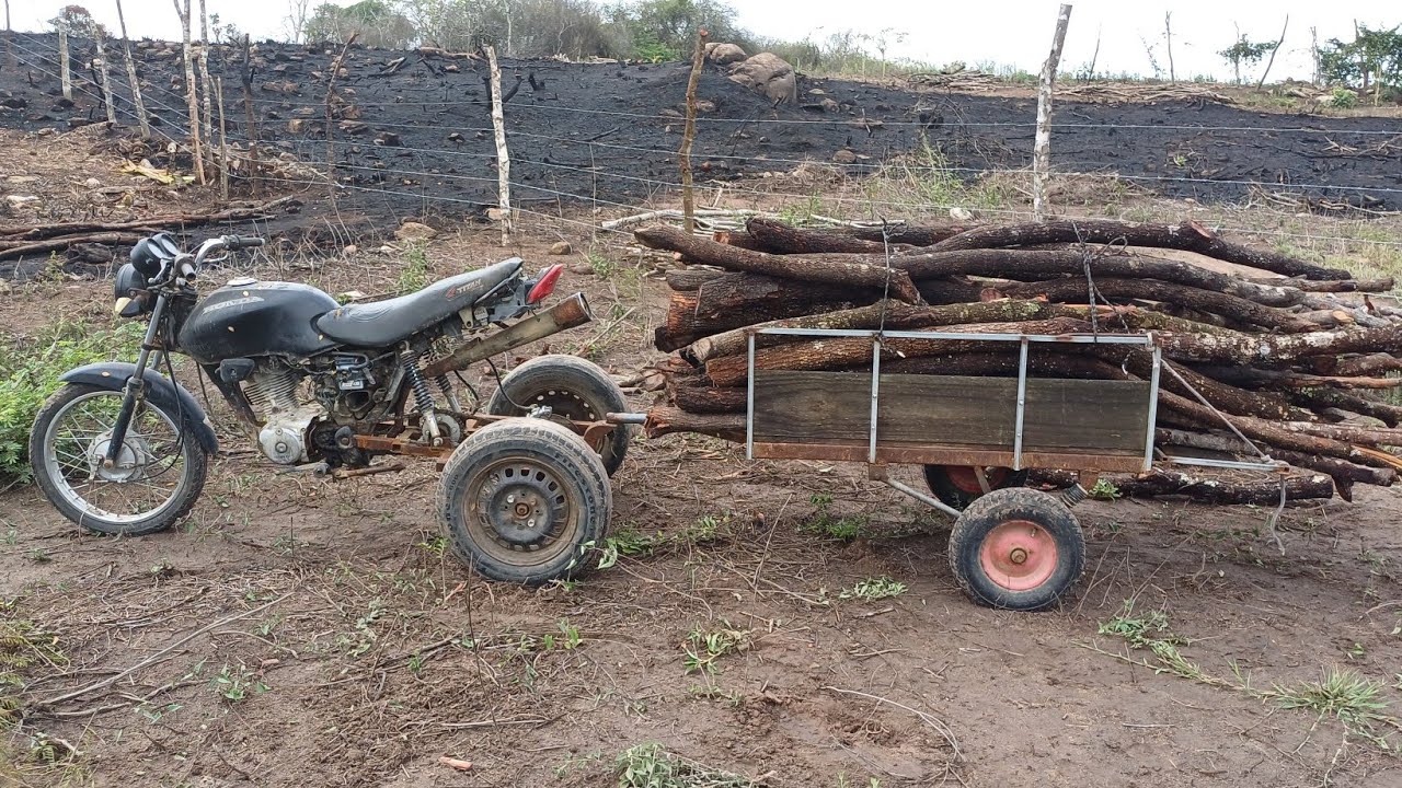 triciclo agrícola caseiro puxando estacas na carretinha reboque