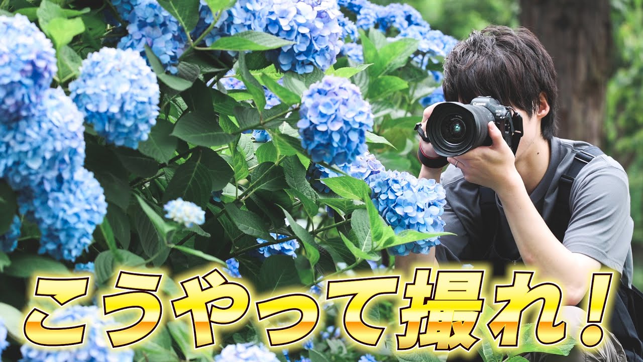 真似して試せる！花を美しく撮る撮影テクニック！