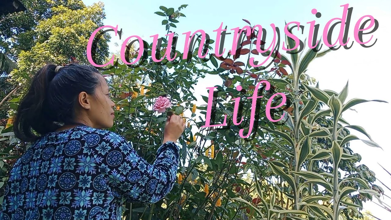 A Calm and Peaceful Day in the Countryside 🌷🌷🌷