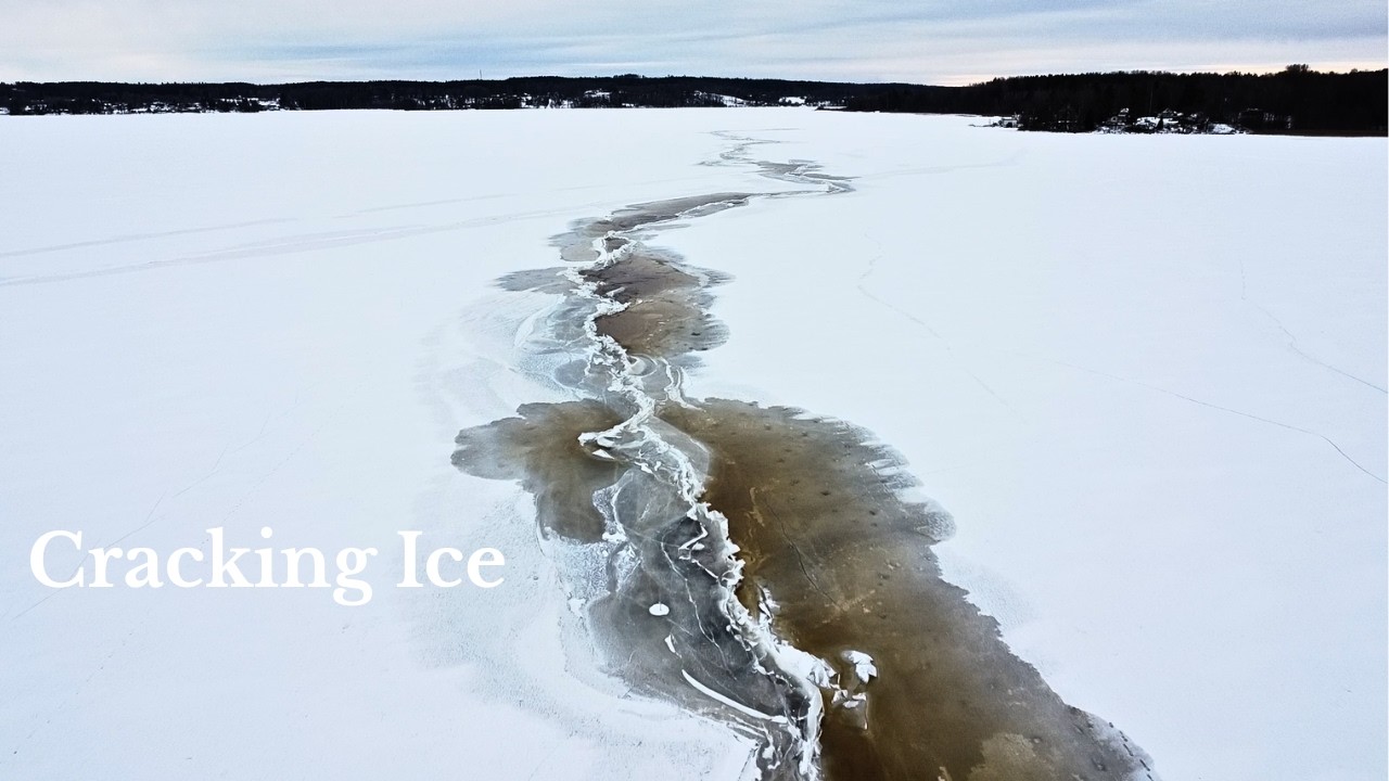 Frozen Stillness