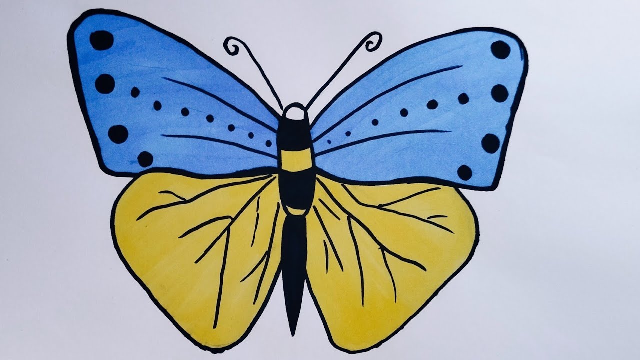 Butterfly 🦋Малюємо українського метелика.