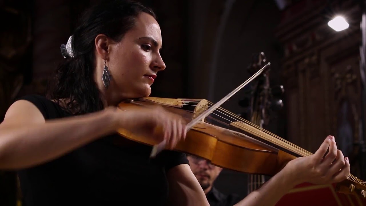 A história dos instrumentos - As origens da viola e suas diferenças em relação ao violino