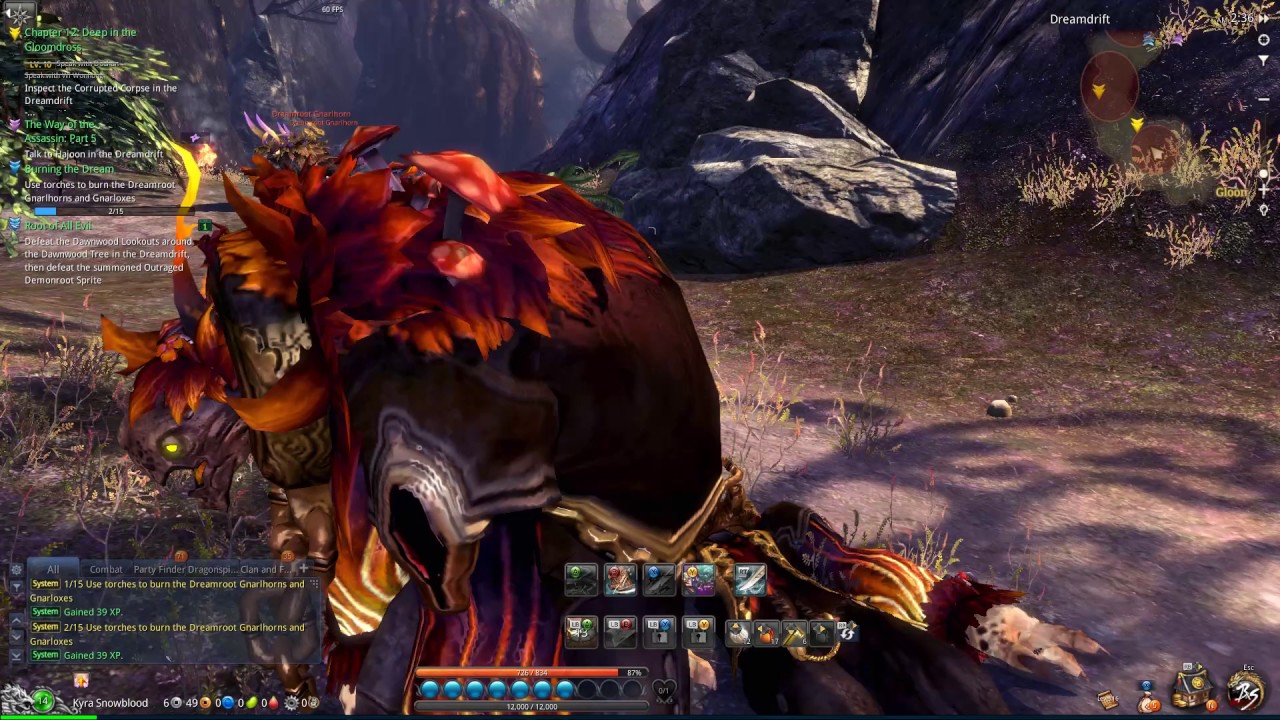 BnS PvE Assassin