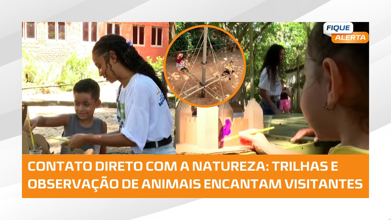 Tem programação para este domingo? Parque Municipal é opção de lazer gratuita