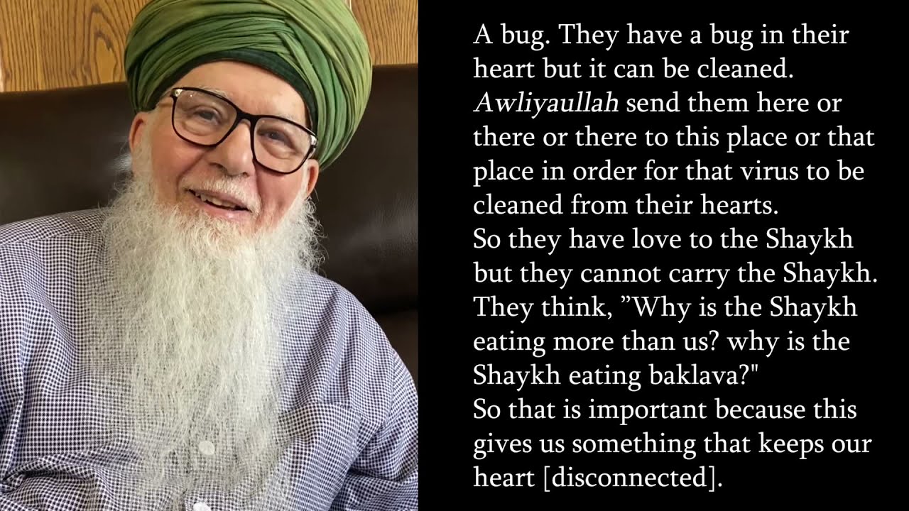 Mawlana Shaykh Hisham Kabbani: Give this Trust to Sayyidina al-Mahdi (as)