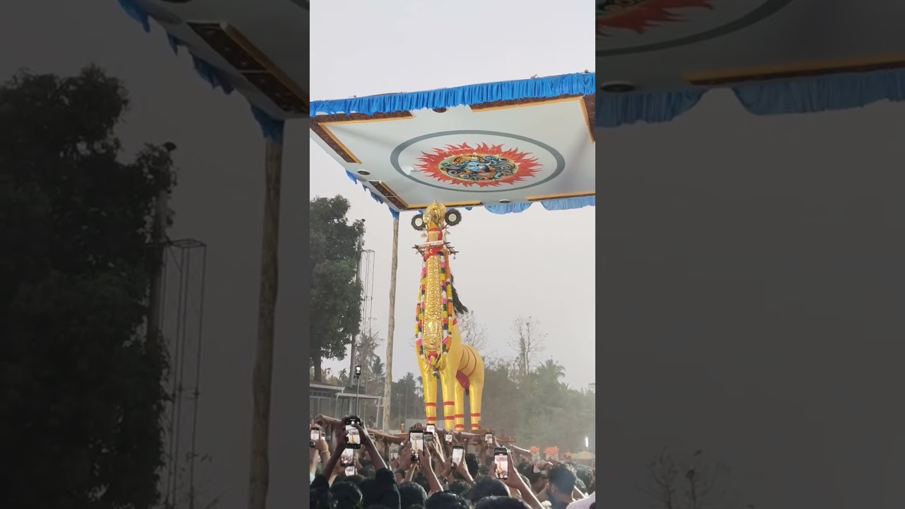 ഇത് കാണ്ടേണ്ട കാഴ്ച്ചയാണ്. ആനയില്ലപൂരം മച്ചാട് മാമാങ്കം .കുതിരകളുടെ വരവ് #machadmamankam #viralvideo