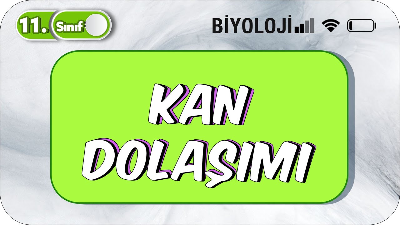 Kan Dolaşımı  | Tek Videoda Anlatım | 11. Sınıf Biyoloji  #2023