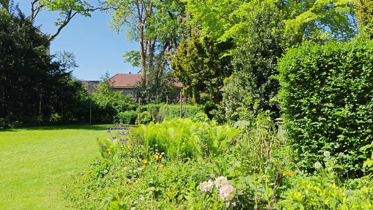 Peaceful Garden View at Fletcher Hotel Paleis Stadhouderlijk Hof in Leeuwarden, the Netherlands
